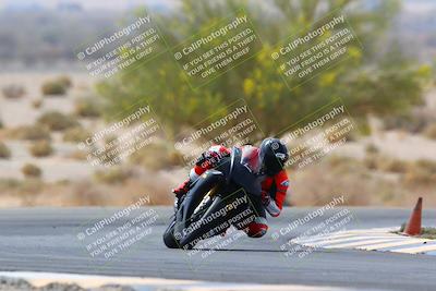 media/Apr-10-2022-SoCal Trackdays (Sun) [[f104b12566]]/Turn 5 Tree of Life (1040am)/